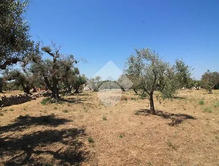 La Casetta Di Ciro Ferienhaus *